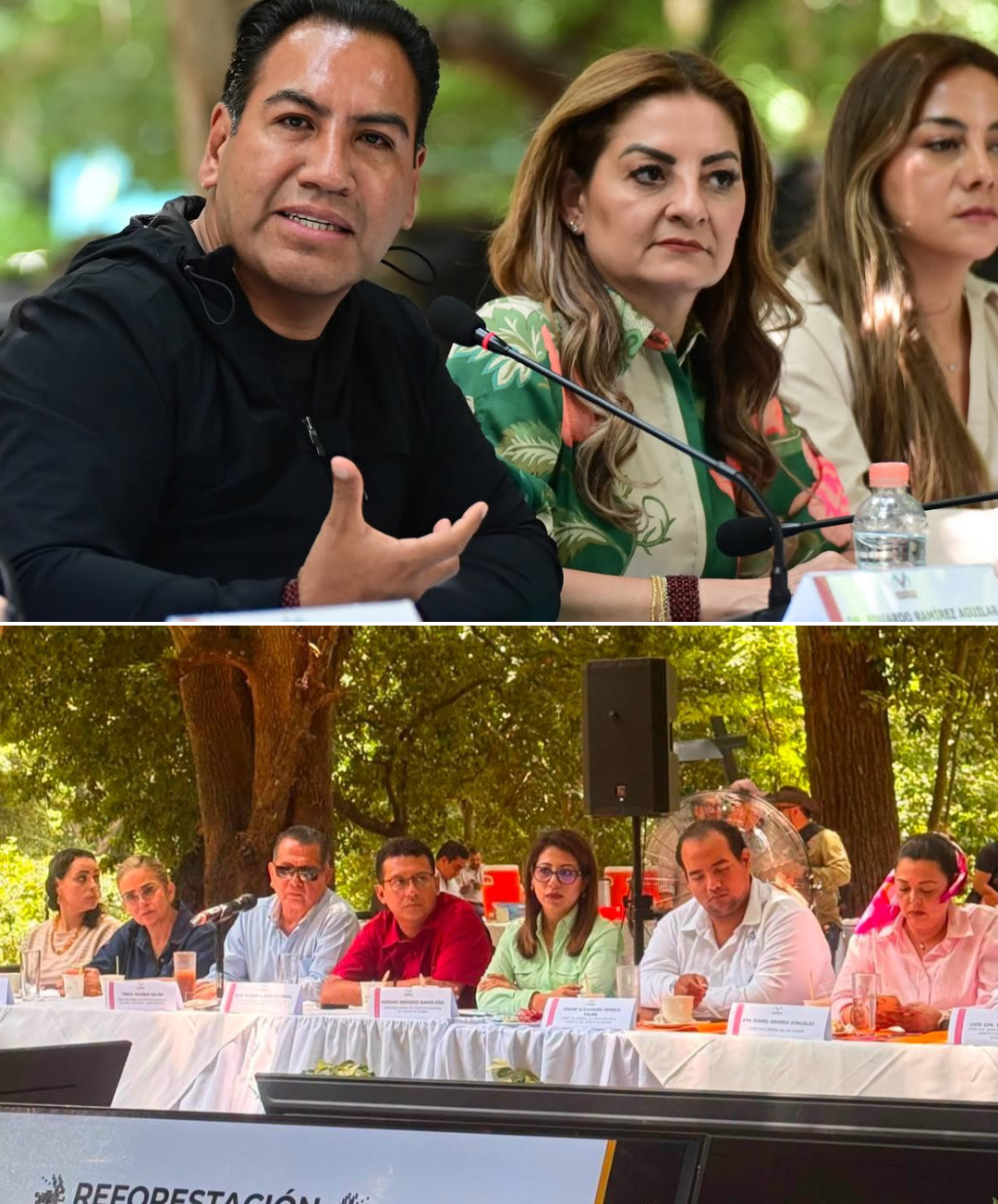Descripción